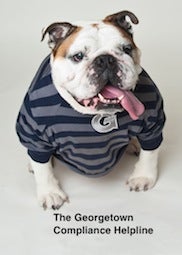 Jack the Bulldog in a Georgetown striped shirt